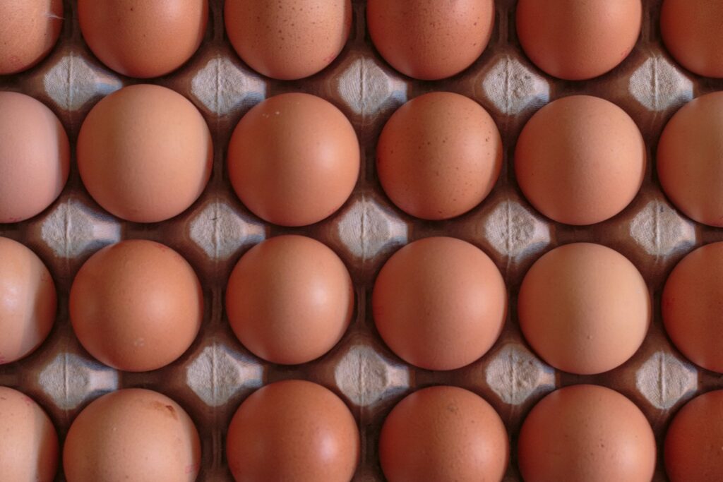 Eggs. Just a lot of eggs